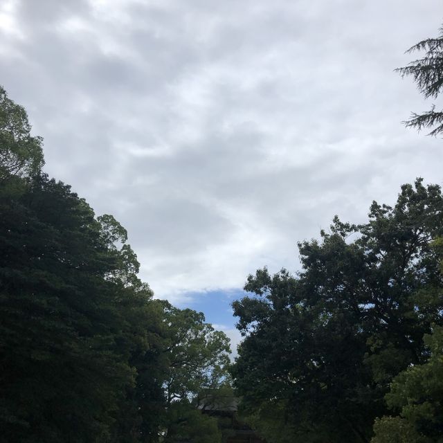 大山祇神社サマ✨