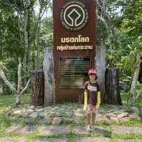 มาดูผีเสื้อที่บ้านเราไหม?