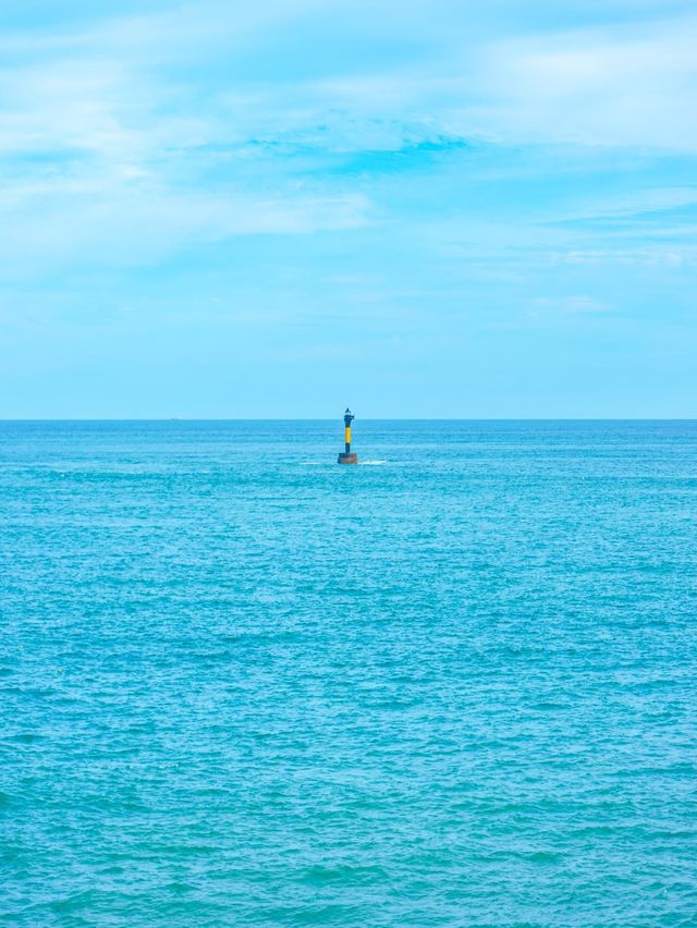 시원한 파도뷰를 만날 수 있는 곳🌊