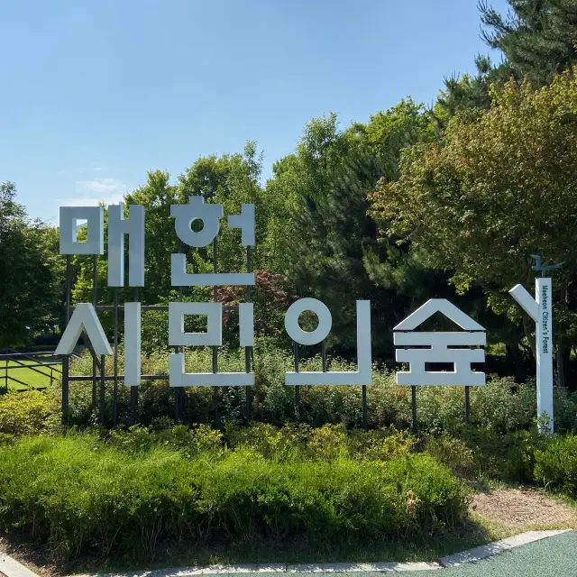 서울 꽃구경하며 걷기좋은 매헌 시민의숲 🌳