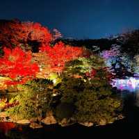 めちゃ感動【万博公園の紅葉ライトアップ】が最高！in大阪