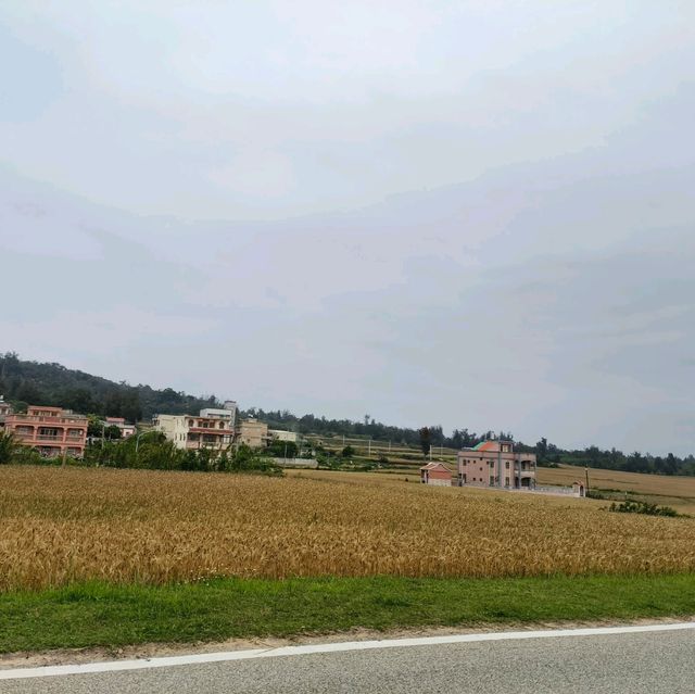 金門之旅-穿越歷史的軌跡
