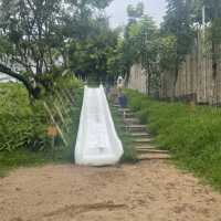 YuuBaan Studio ร้านอาหารและคาเฟ่สำหรับเด็ก