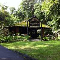 Khao Sok National park 自然生態遊記