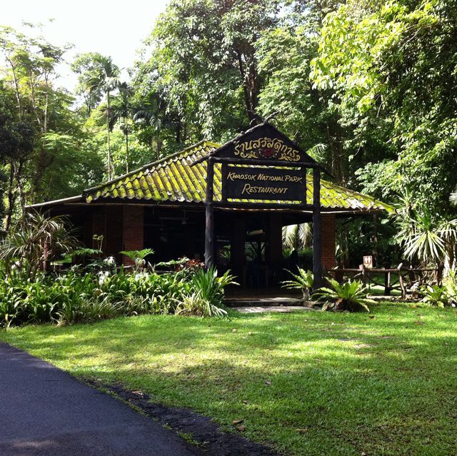 Khao Sok National park 自然生態遊記