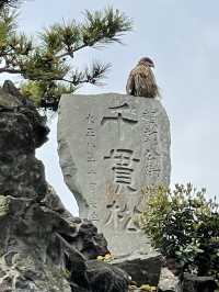 【神奈川県/森戸神社】海辺に鎮座する景色抜群の神社