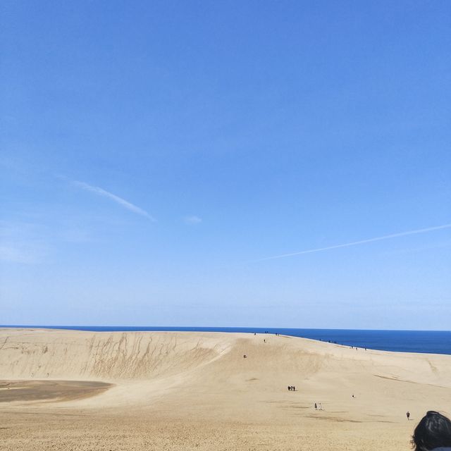 稱之為小沙漠🏜️鳥取沙丘