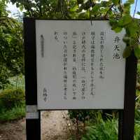 愛知旅行！桶狭間の戦いゆかりの地「弁天池」