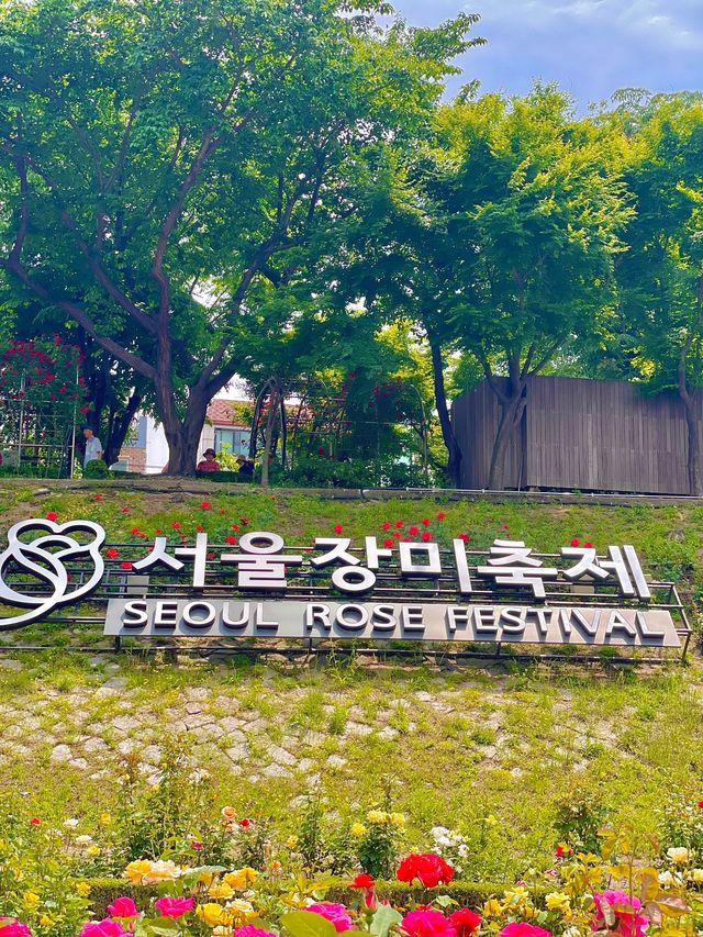내년 5월 장미 축제는 꼭 보러가기❤️🌹