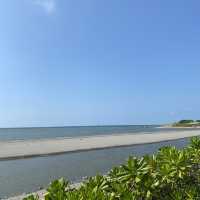 大安濱海樂園🌊