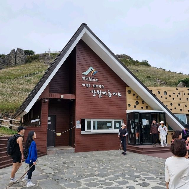 가을의 시작 억새보러가자