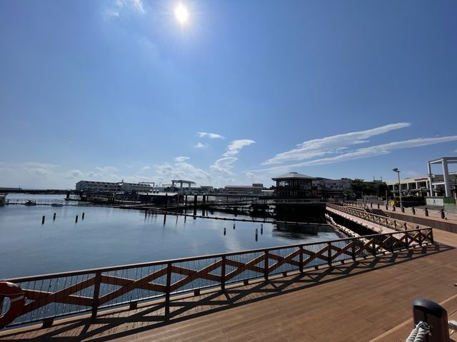 【神奈川】関東随一の水族館でイルカとふれあう! 【神奈川】関東随一の水族館でイルカとふれあう!