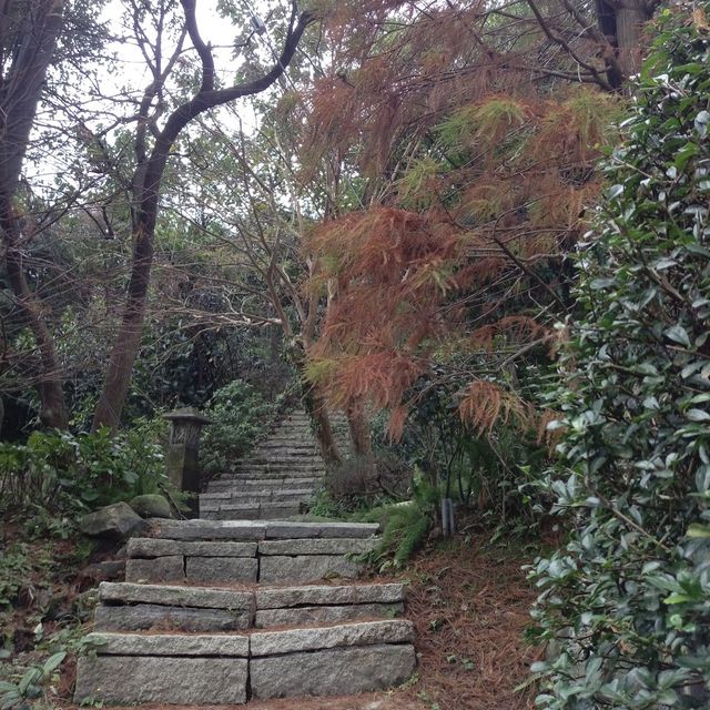 探索神秘的瑪陵坑⛩️基隆的寶藏地！🌳⛰️🌿 
