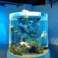美術館のような水族館　神戸アトア（átoa）