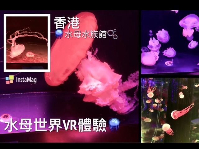 🪼有VR體驗嘅水族館😍