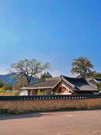 경상도에 있는 전통 한옥마을