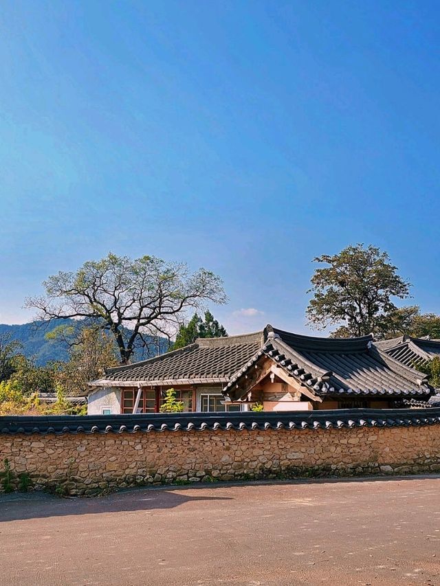 경상도에 있는 전통 한옥마을
