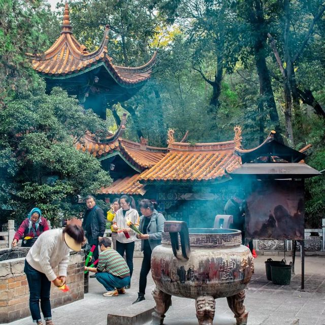 🐉🕊️ 龍鳳寺～靈性之旅！🏯🌸🔮