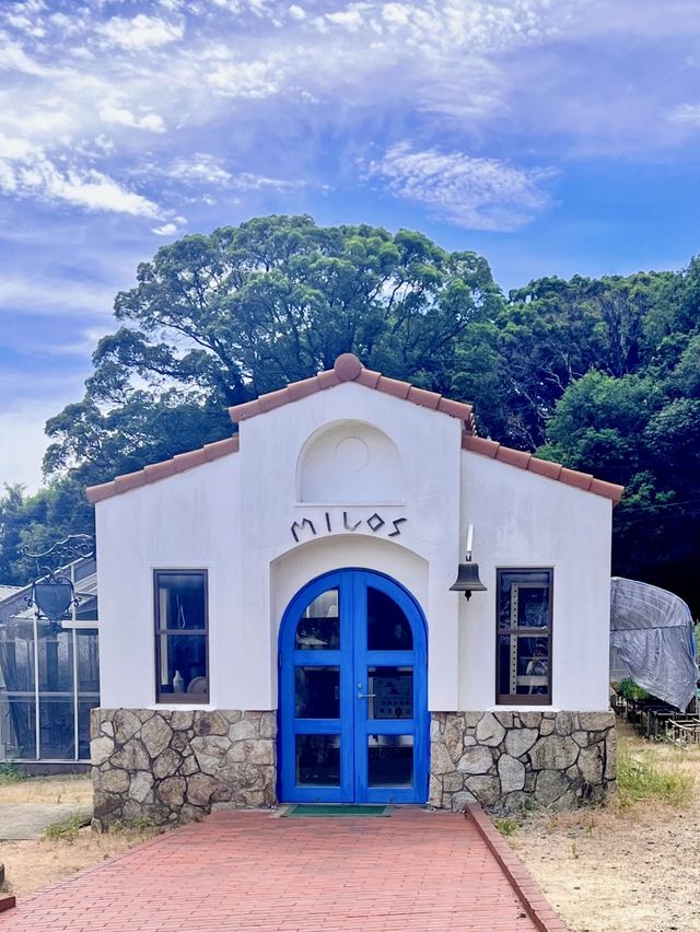 【小豆島】女子旅にオススメ❣️フォトジェニック空間　オリーブ公園✨