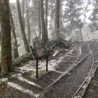 太平山，見晴懷古步道