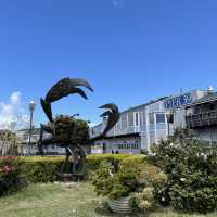 Fisherman's Wharf - with a walk to pier 39