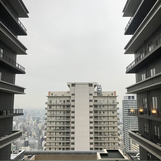 JR難波站上蓋既高質素酒店