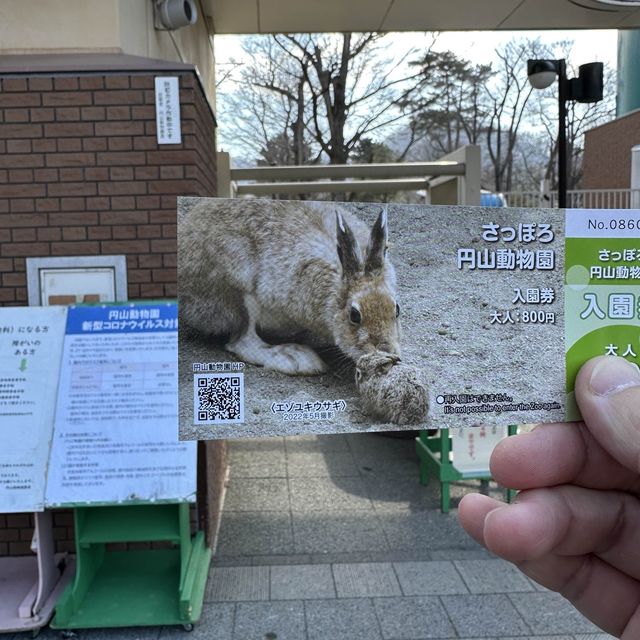 円山動物園 本地人和遊客都值得一遊的地方👍🏻