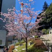 【宇都宮】二荒山神社