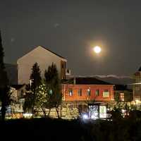 Day and Night of Podgorica