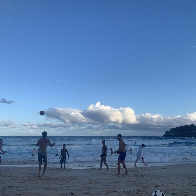본다이 보러 가본다이 😅🙌🩵