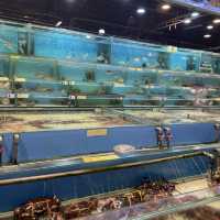 Johor bahru mini getaway
