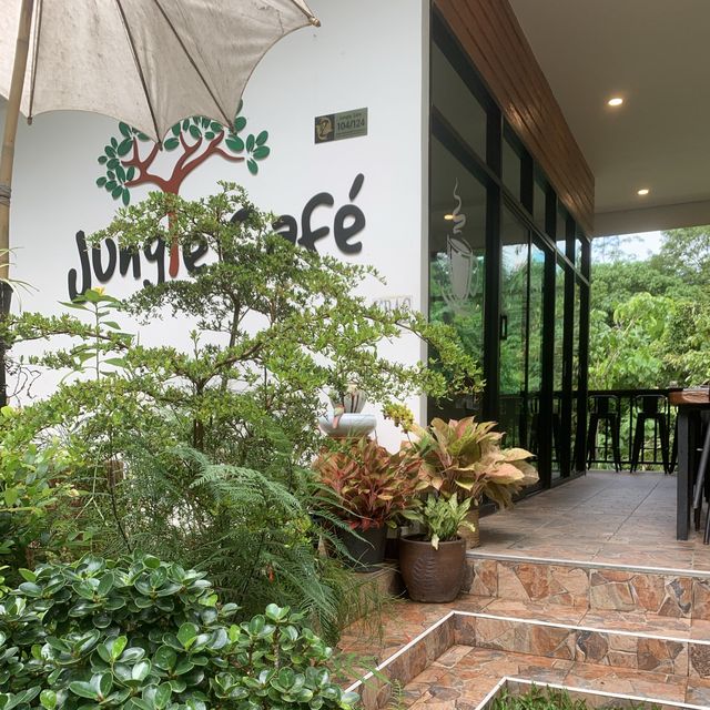 Jungle Cafe 