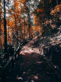 อีกหนึ่งน้ำตกที่แนะนำเชียงใหม่