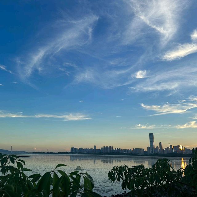 海岸邊的公園