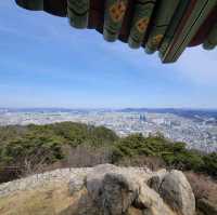 두근두근여름휴가 대전의 인기 산 보문산 등산