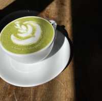 กาแฟดี ร้องขอชีวิต!! ติดริมทางวัดพระธาตุดอยสะเก็ด