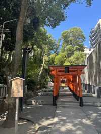 《 兵庫 ・神戸》 "縁結びの神様" 神戸三大神社⛩️生田神社