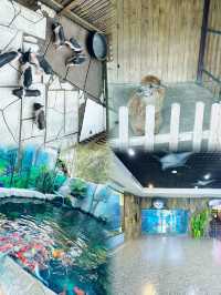 打卡必度海底隧道🐬🐟🐠 10,000尺超大型水族館❤️