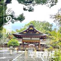 【京都府】桜の名所　平野神社