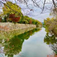 Hikone's Otemon: Gateway to History
