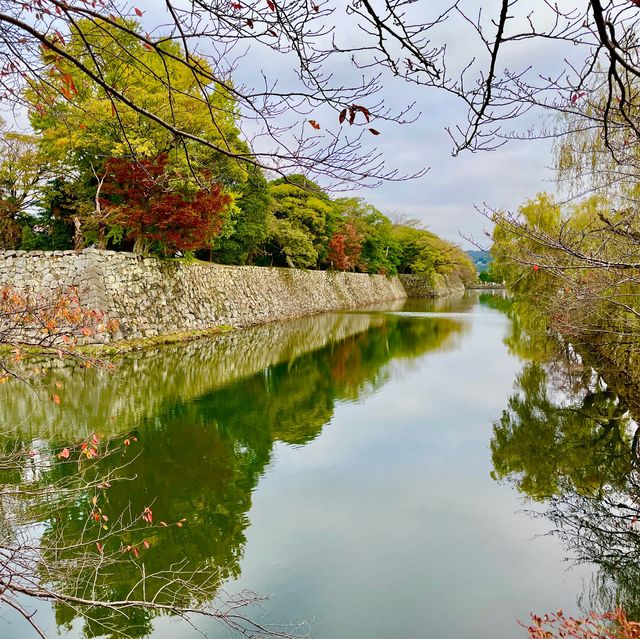 Hikone's Otemon: Gateway to History