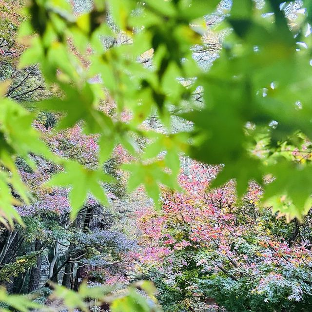Fushoushan Farm