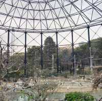 まるでサバンナ？天王寺動物園
