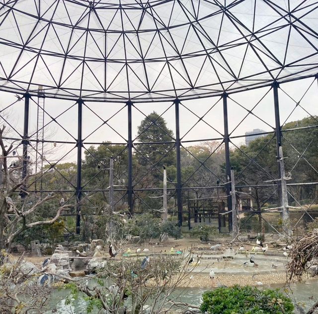 まるでサバンナ？天王寺動物園