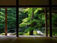【京都市】静を感じて心洗う庭園🌿