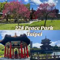 228 Peace Park สวนสาธารณะสวยกลางเมืองไทเป