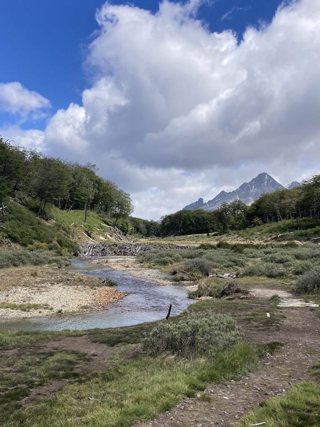 Lost In Nature - Ushuai’s National Park