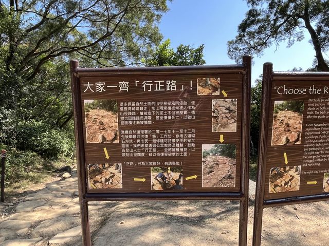 挑戰成功！由馬鞍山村出發行上昂平草原