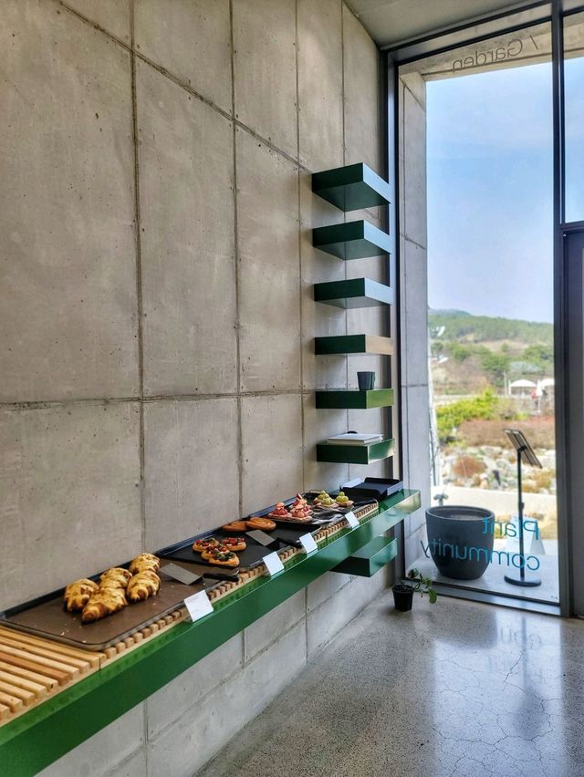3월초 오픈한 역대급 통창뷰 청도 신상카페🌳☕️