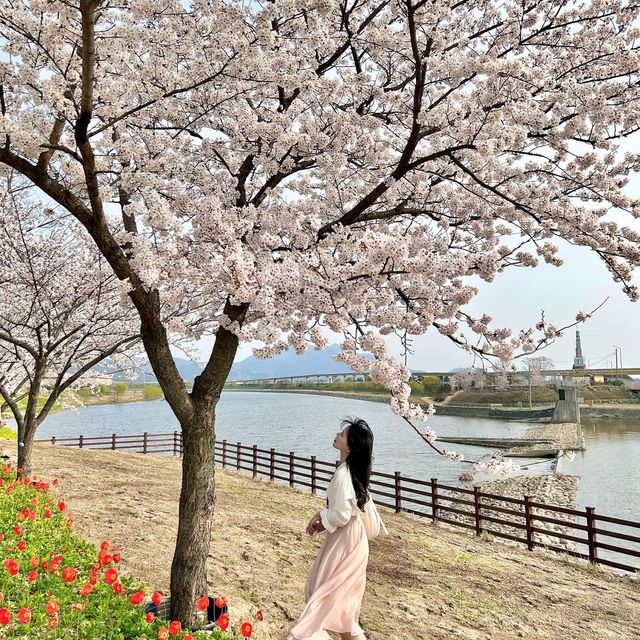 순천만국가정원 개장 전 첫방문 ..🌿